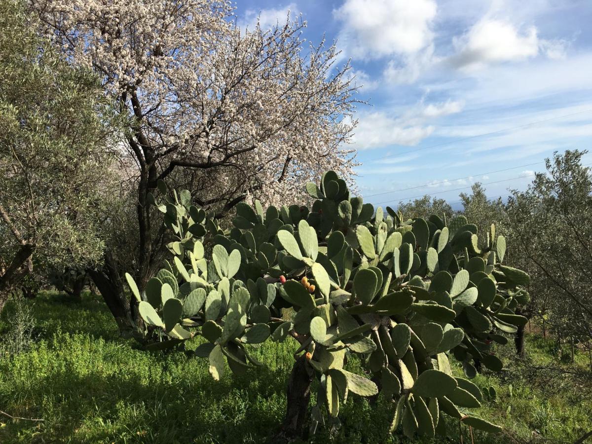 Вілла Agriturismo Petrara Simeri Crichi Екстер'єр фото